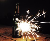 /album/fotogalerie-2013/p1016052-cut-jpg/